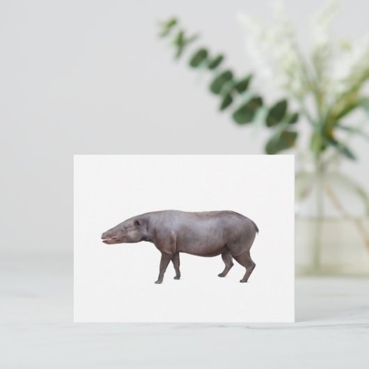 Anthracotherium ("Koolbeest") briefkaart, wit Briefkaart (Staand voorkant)