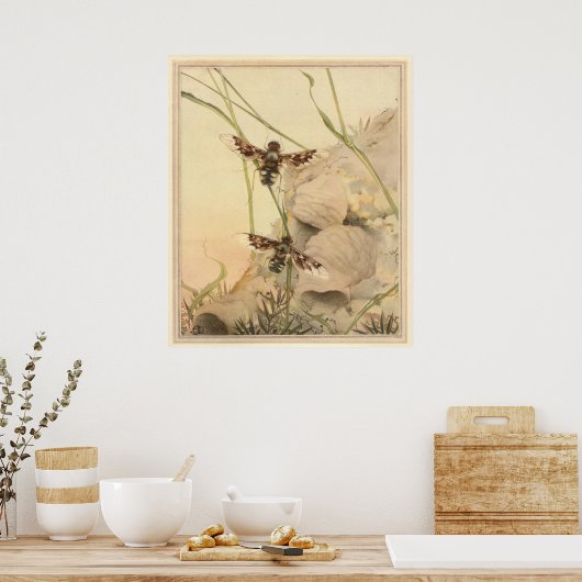 ANTHRAX FLY - Insect Book Illustration Poster (Keuken)