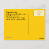 ANTHROPOMORFISCHE ~ ANTIEK CORN MAN Afbeelding~ BR Briefkaart (Achterkant)