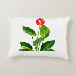 Anthurium Accent Kussen