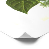 Anthurium andreanum poster (Hoek)
