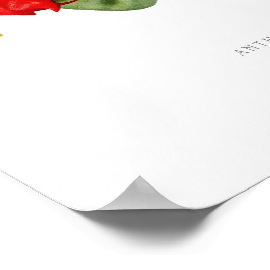 Anthurium atrosanguineum poster (Hoek)