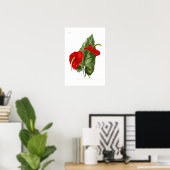 Anthurium atrosanguineum poster (Thuiskantoor)
