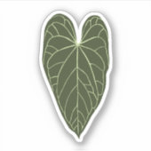 Anthurium crystallinum sticker (Voorkant)