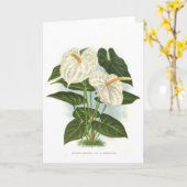 Anthurium Kaart (Gele Bloem)