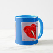 Anthurium Mok (Voorkant rechts)