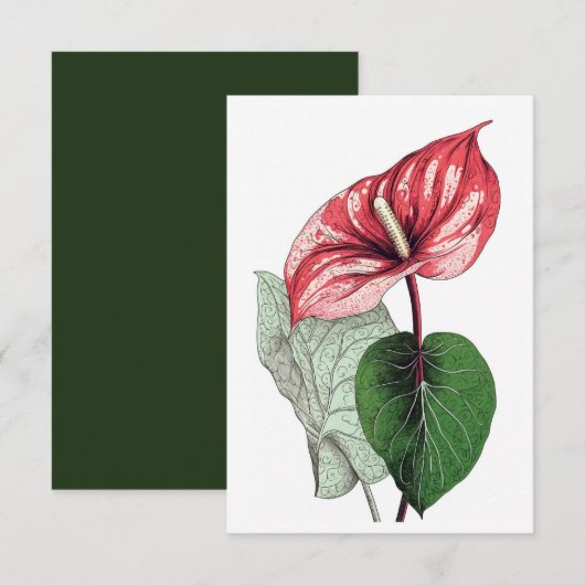 Anthurium Tropical Flower Blank Bedankkaart (Voorkant / Achterkant)