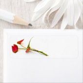 Anthuriumbloem Etiket (Insitu)