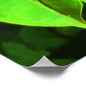 AnthuriumPlant Poster (Hoek)