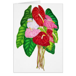 Anthuriums