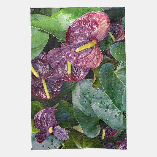 Anthuriums Theedoek (Verticaal)