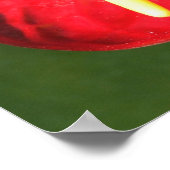 Anthuriumventilatordruk Poster (Hoek)