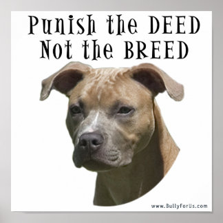 Anti-BSL bestraft de dood, niet het Breed Poster