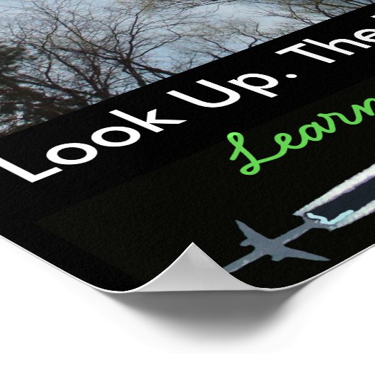 Anti-Chem Trail Education Poster (Hoek)