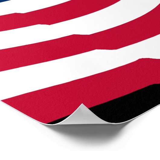 Anti-fascism is Patriotic Poster (Hoek)