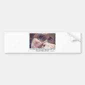 Anti-Hillary Clinton 2016 geschenken en kleding Bumpersticker (Voorkant)