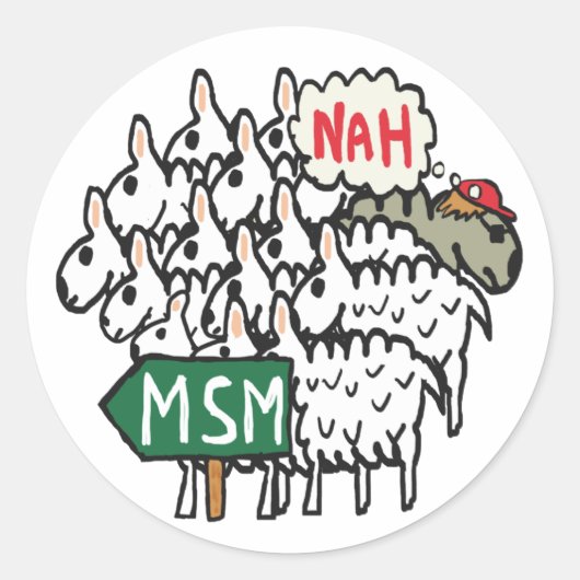 Anti-MSM Ronde Sticker (Voorkant)