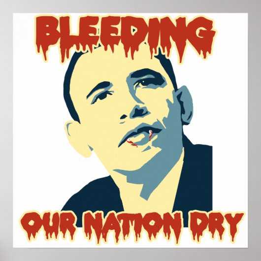 Anti-Obama 2012 Poster (Voorkant)