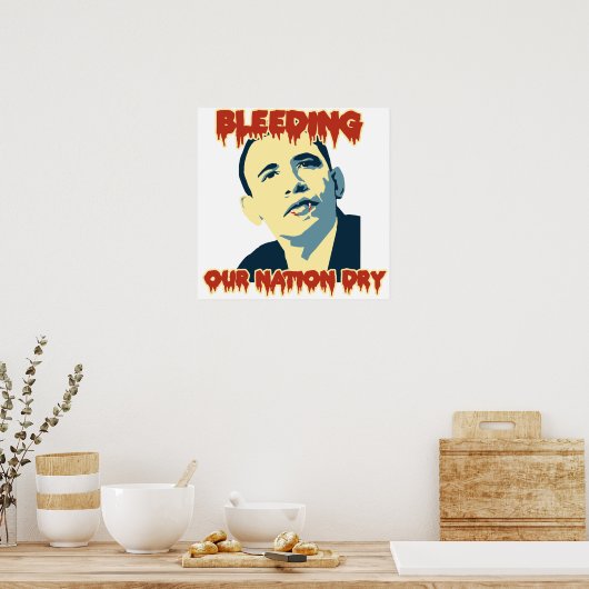 Anti-Obama 2012 Poster (Keuken)