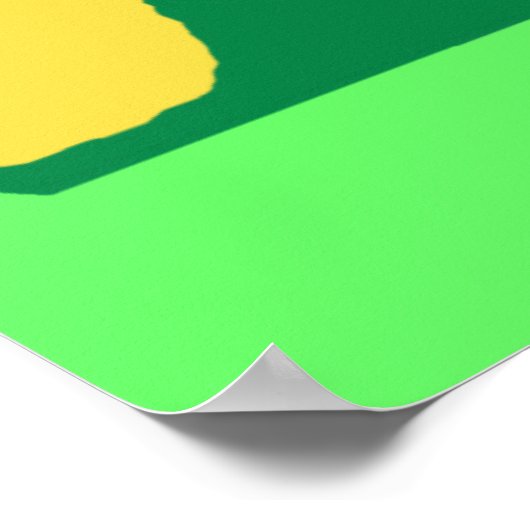 Anti-Obama rony Poster (Hoek)