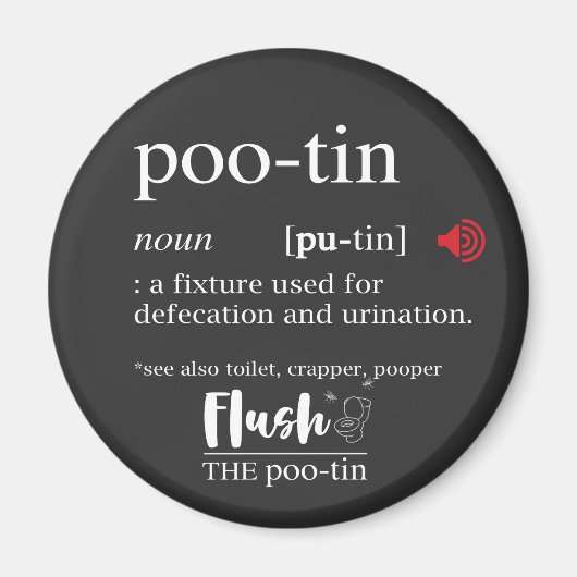 Anti-Poetin POOTIN Funny Dictionary Magnet (Voorkant)