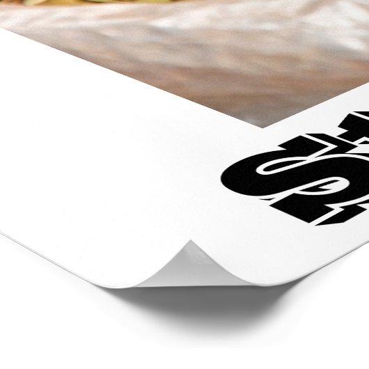 anti smoking posters (Hoek)