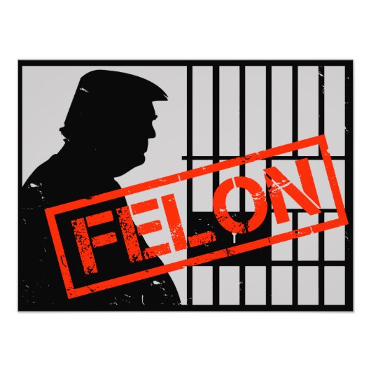 Anti Trump Felon Convicted 20-24 Years for Prison Foto Afdruk (Voorkant)
