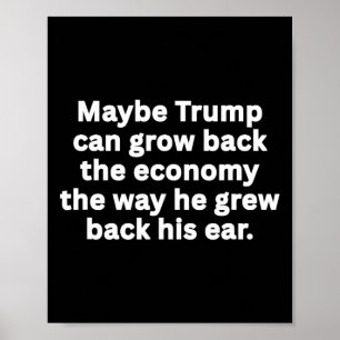 Anti-trump Grappige Sarcastische Politieke Humor S Poster