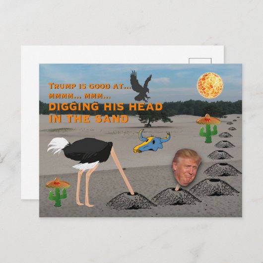 Anti Trump / graven zijn hoofd in het zand, Briefkaart (Voorkant / Achterkant)