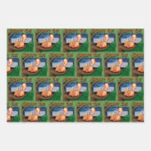 Anti-Trump-humor Inpakpapier Vel (Voorkant 2)