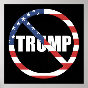 anti-Trump pro-democratie Poster