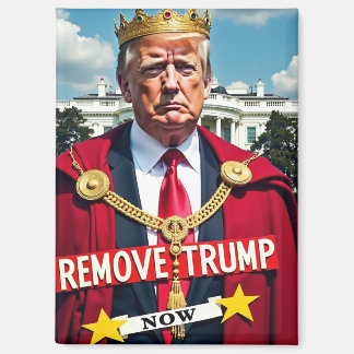 Anti-Trump verwijder Trump Magneet