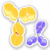 Antibody drug conjugate DAR2 at glycan Sticker (Voorkant)