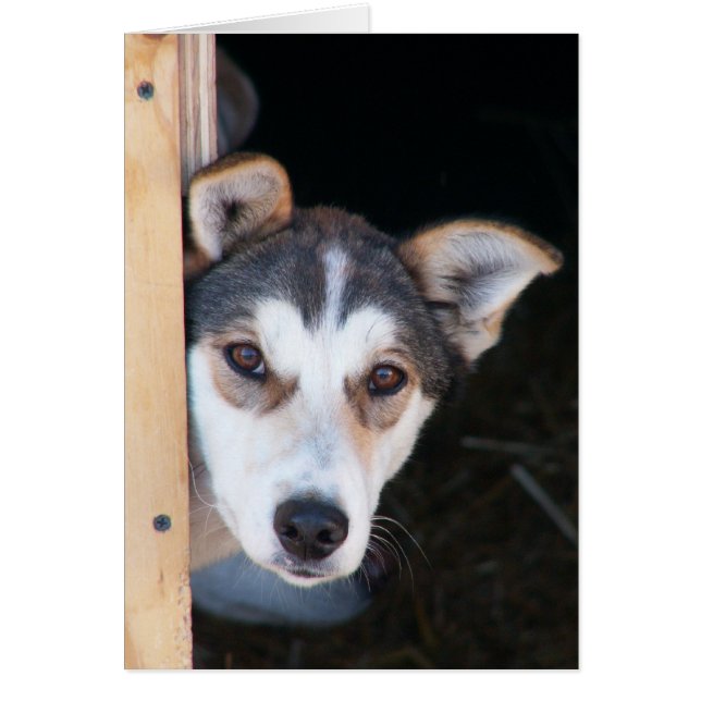 Anticipatie (Voorkant)