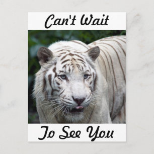 Anticipatie Briefkaart