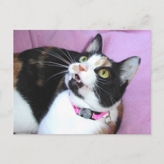 anticipatie briefkaart (Voorkant)