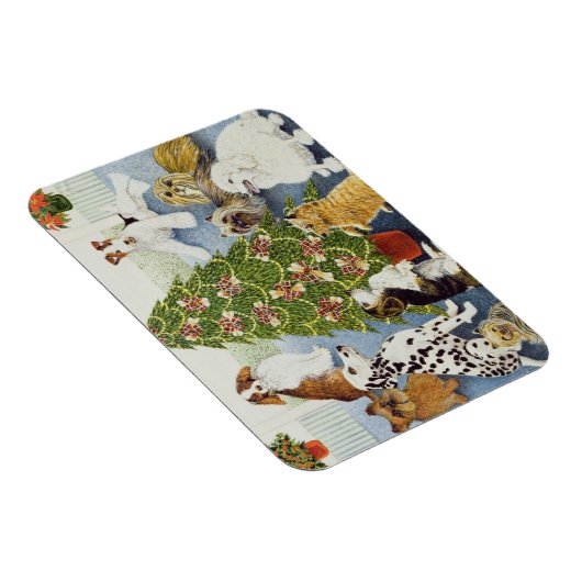 Anticipatie Magneet (Rechterzijde)