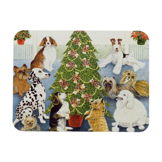 Anticipatie Magneet (Horizontaal)