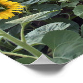 anticipatie poster (Hoek)