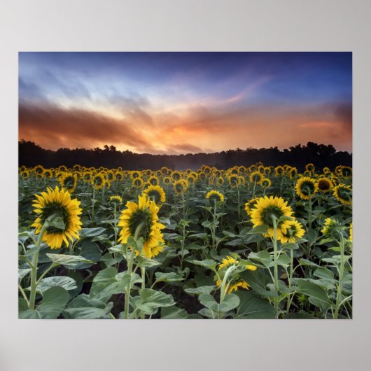 anticipatie poster (Voorkant)