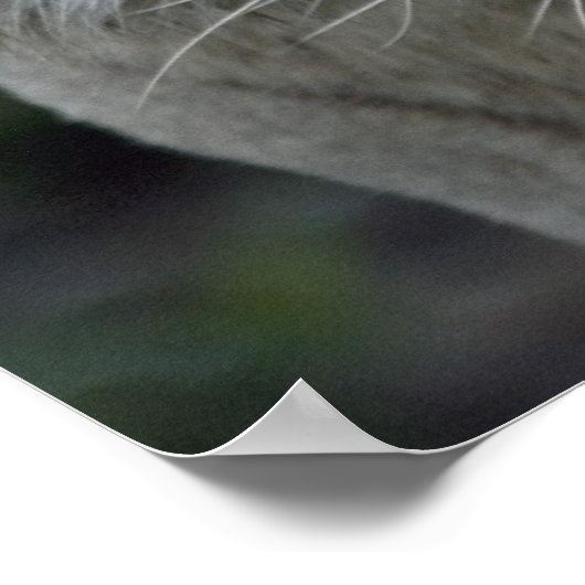 Anticipatie Poster (Hoek)