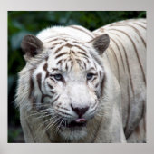 Anticipatie Poster (Voorkant)