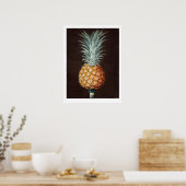 Antiek 1807 ananas Botanische illustratie Poster (Keuken)