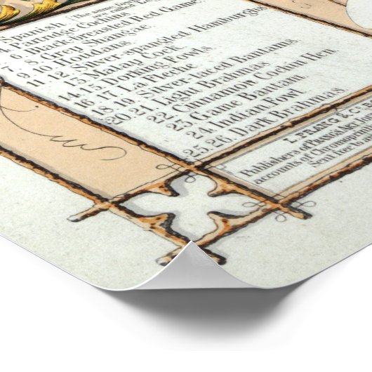 Antiek 1868 Pluimvee van de wereld Poster (Hoek)