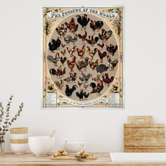 Antiek 1868 Pluimvee van de wereld Poster (Keuken)
