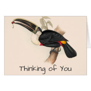 Antiek aanraakgevoelige vogelsoorten