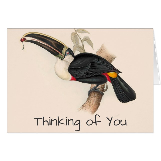 Antiek aanraakgevoelige vogelsoorten (Voorkant Horizontaal)