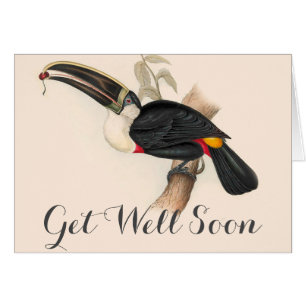 Antiek aanraakgevoelige vogelsoorten