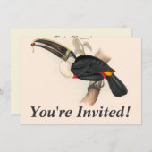 Antiek aanraakgevoelige vogelsoorten kaart (Voorkant / Achterkant)