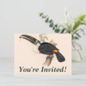 Antiek aanraakgevoelige vogelsoorten kaart (Staand voorkant)